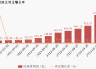 中国平安2024年归母净利润同比大增47.8%