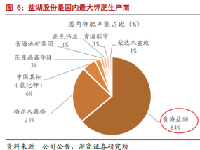 22万股民哭晕，盐湖股份，彻底崩了？