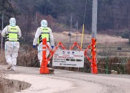 口蹄疫蔓延，韩国部分地区预警级别升至最高级