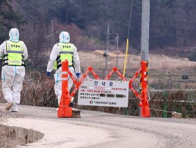 口蹄疫蔓延，韩国部分地区预警级别升至最高级